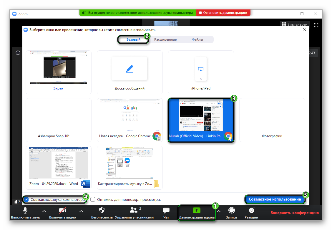Демонстрация экрана и звука в Zoom (совместное использование)